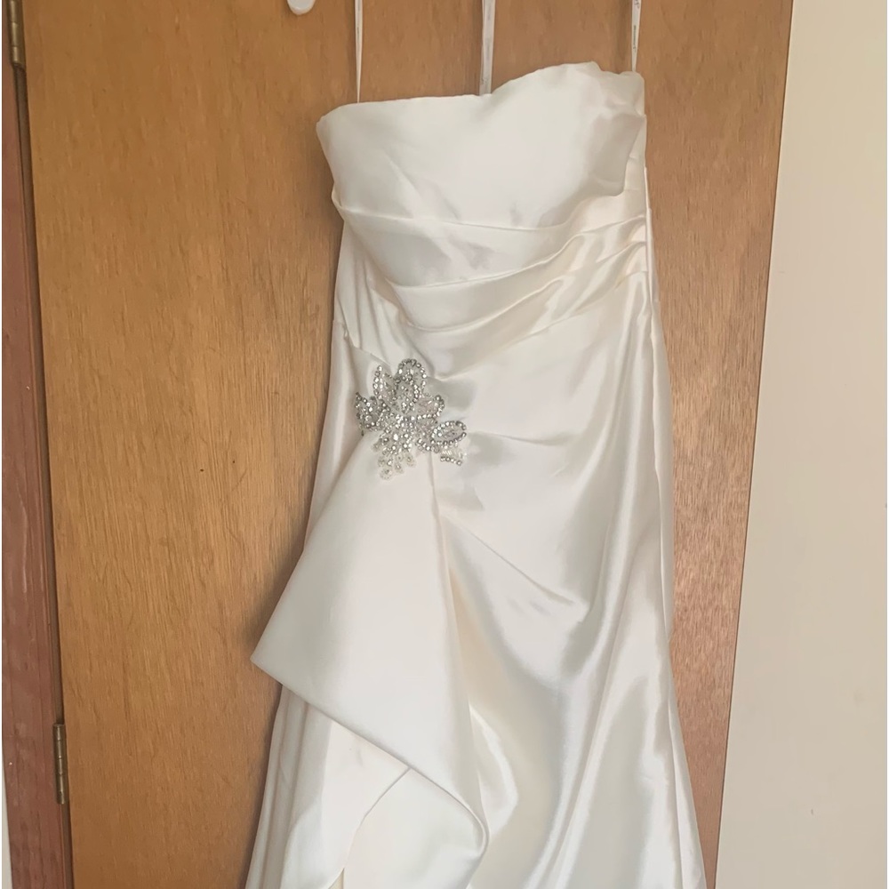 Wedding dress from David’s bridal